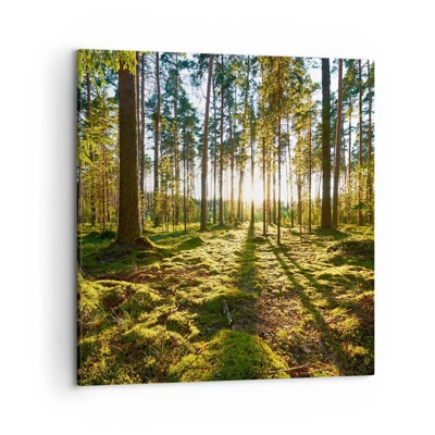 Bild auf Leinwand - Leinwandbild - … Hinter den sieben Wäldern - 50x50 cm