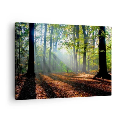 Bild auf Leinwand - Leinwandbild - Licht und Schatten - 70x50 cm
