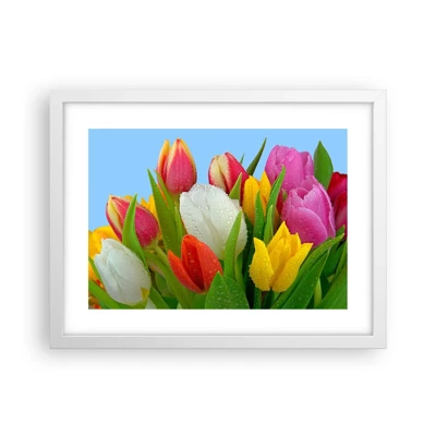 Poster in einem weißen Rahmen Arttor 40x30 cm - Ein blumiger Regenbogen in Tautropfen - Tulpen, Blumen, Blumenstrauß, Natur, Farbenfrohe Blumen, Ins Wohnzimmer, Für Schlafzimmer, Weiß, Blau, Horizontal, P2WAA40x30-2526