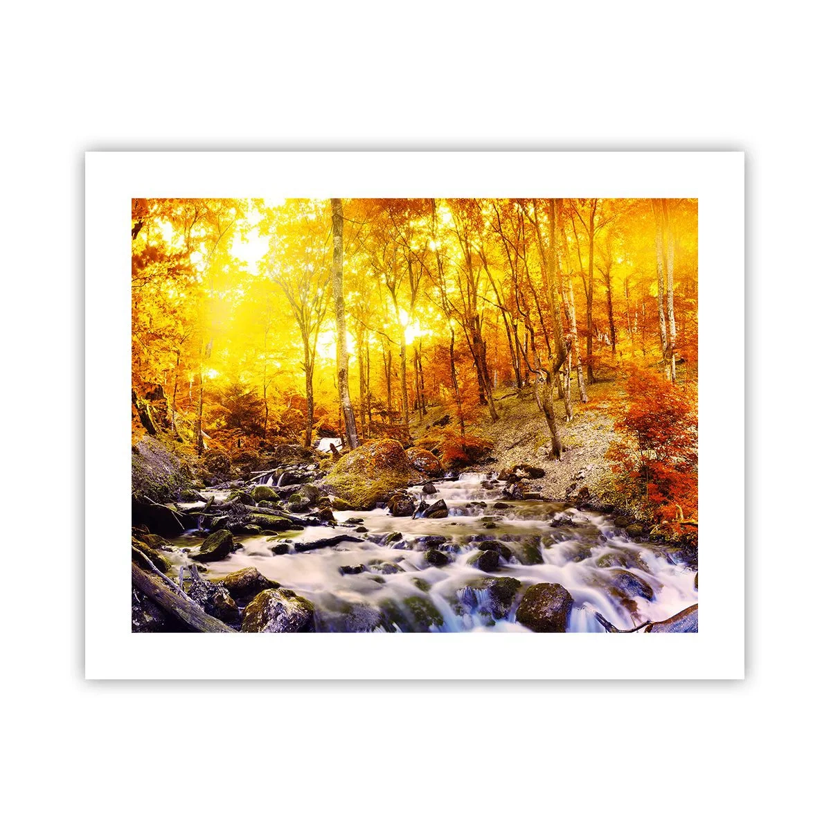 Poster - In Gold und Platin gefasste Steine - 50x40 cm