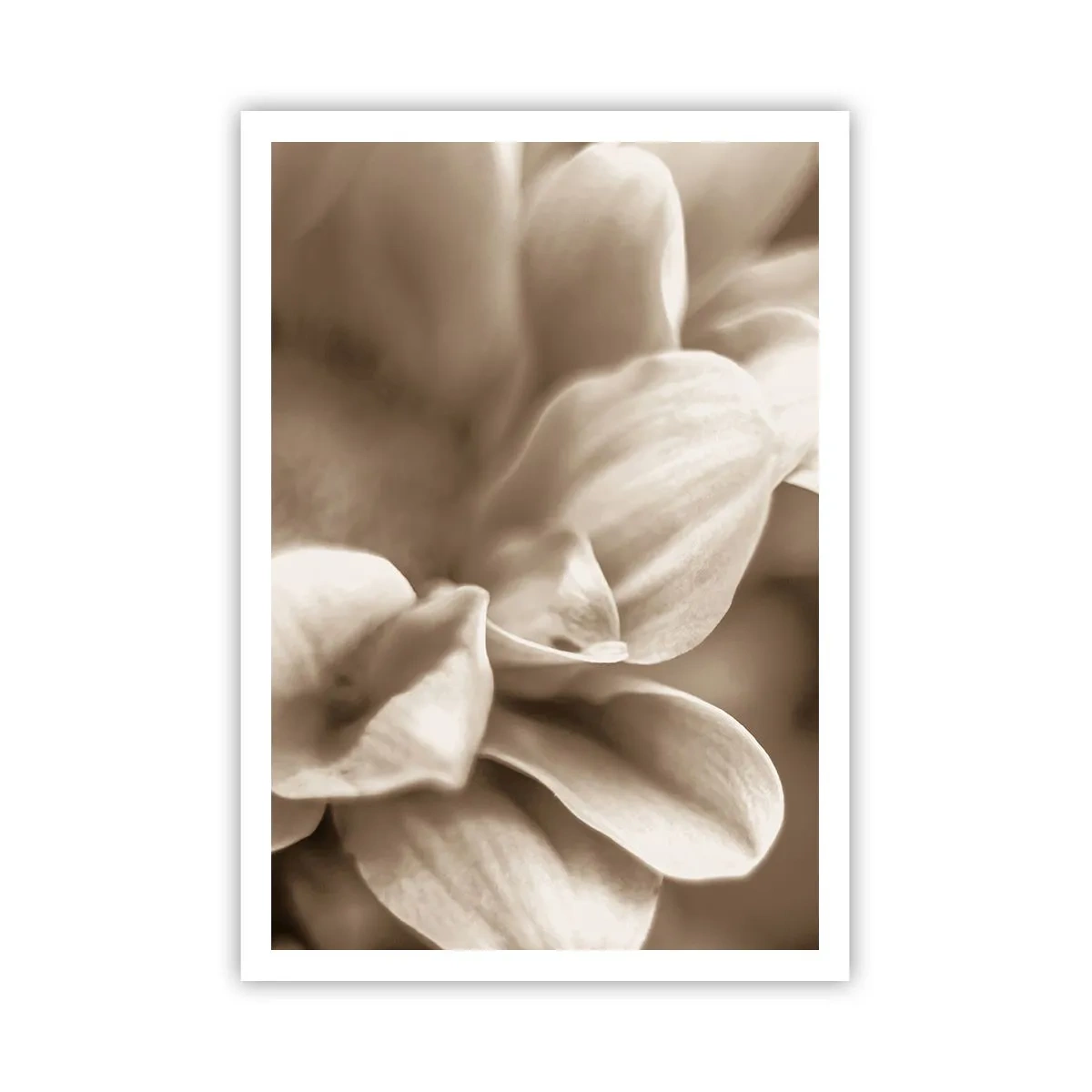 Poster - So sanft wie ein Lächeln - 70x100 cm