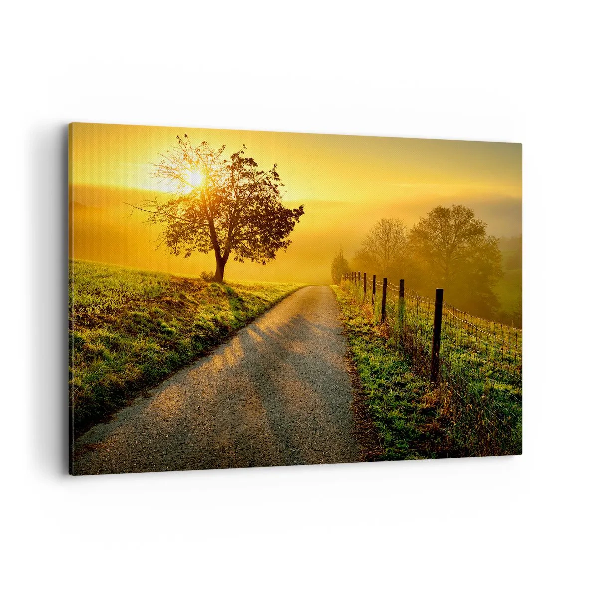 Bild auf Leinwand - Leinwandbild - Eine malerische Straße bei Sonnenuntergang mit einem einsamen Baum im Hintergrund - 100x70cm - Honig-Nachmittag - Moderne Wanddekoration für Wohnzimmer und Schlafzimmer ARTTOR
