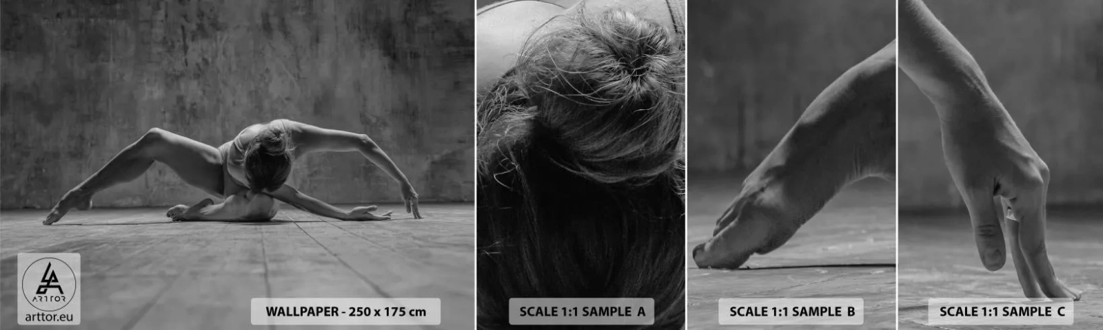 Fototapetenmuster Standard Eco - Symmetrie gefunden - Ballerina, Ballett, Tanzen - 100x30 cm