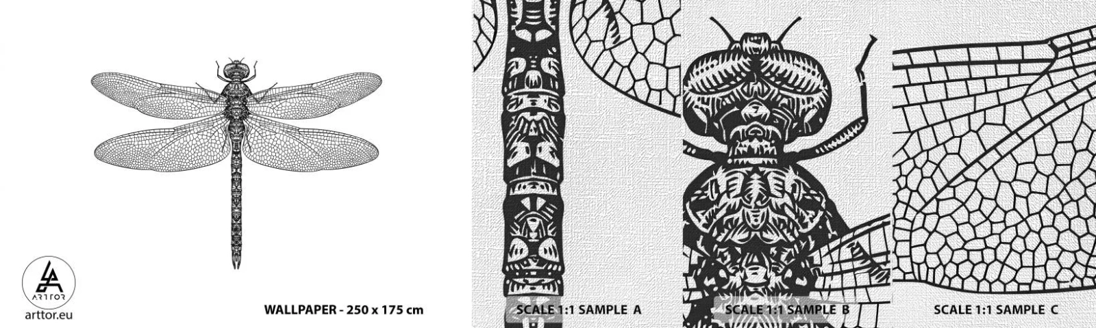 Fototapeten Muster Premium Canvas - Präzision der Natur - Libelle, Insekt, Minimalistisch - 100x30 cm