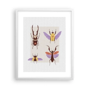 Poster in einem weißen Rahmen - Insektenwelt - 40x50 cm