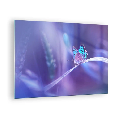 Glasbild - Bild auf glas - Schmetterling vor violettem Lichthintergrund - 70x50cm - Ein Juwel der Natur - Moderne Wanddekoration für Wohnzimmer und Schlafzimmer ARTTOR