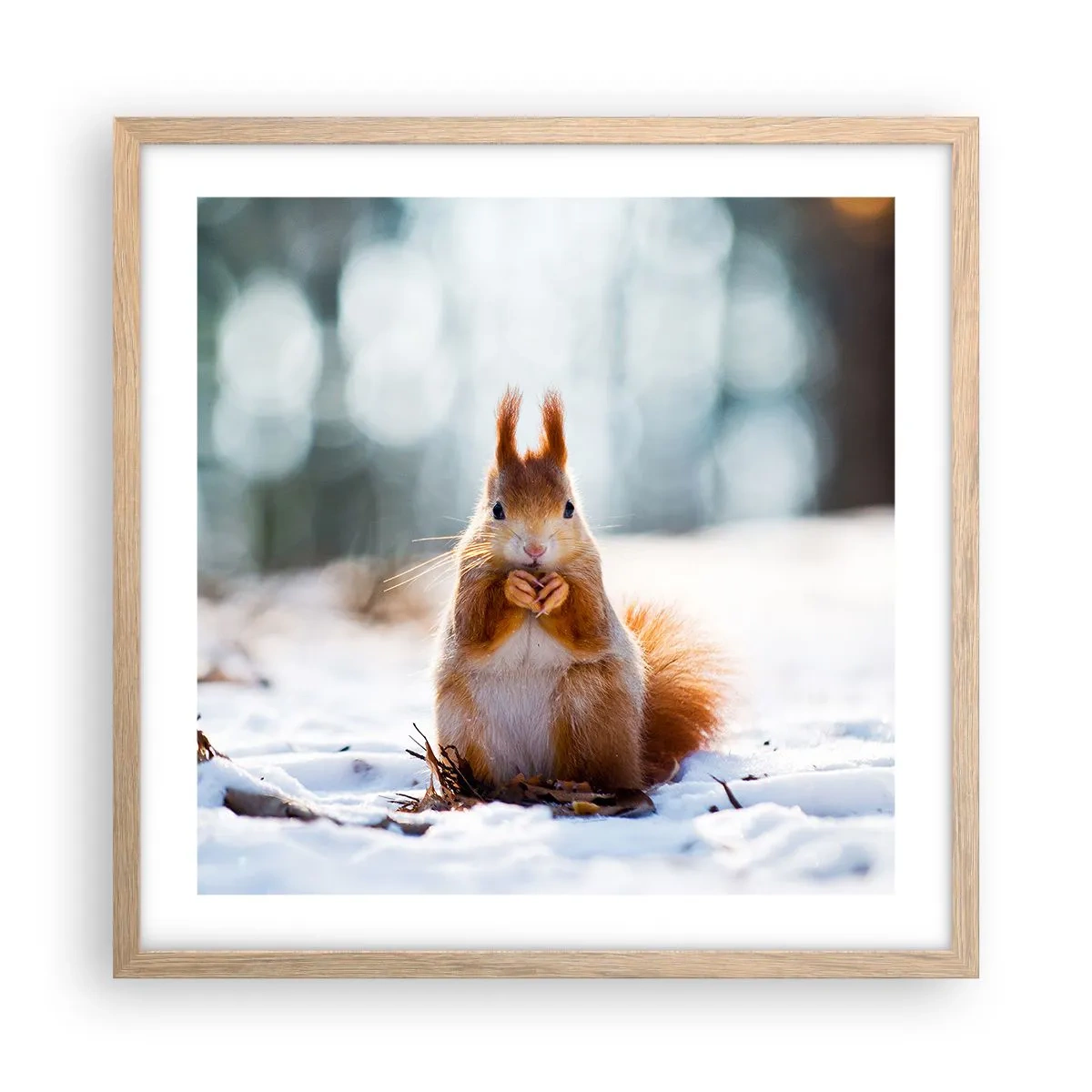 Poster in einem Rahmen aus heller Eiche - Wo schaust du hin? - 50x50 cm