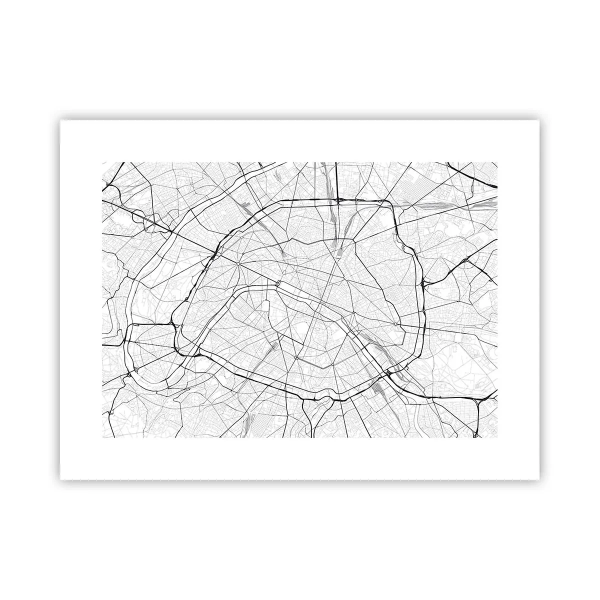 Poster - Pariser Blume - 40x30 cm