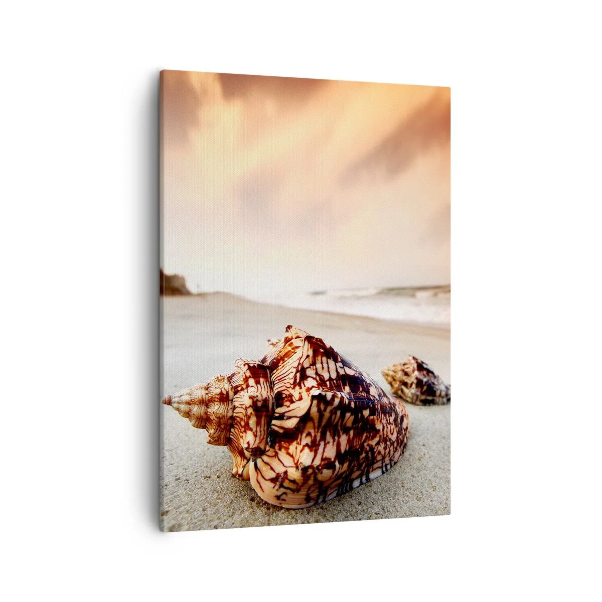 Bild auf Leinwand - Leinwandbild - Muscheln am Strand bei Sonnenuntergang - 50x70cm - Ausgestoßene von Wellen - Moderne Wanddekoration für Wohnzimmer und Schlafzimmer ARTTOR