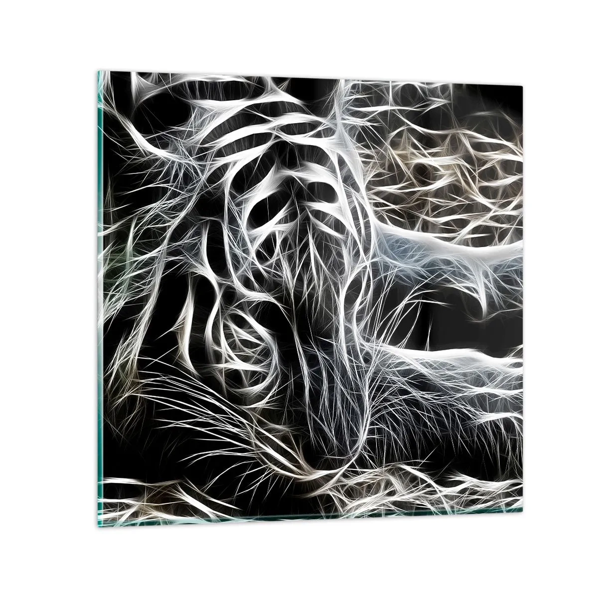 Glasbild - Bild auf glas - Eine Studie über die Leichtigkeit der Katze - 40x40 cm