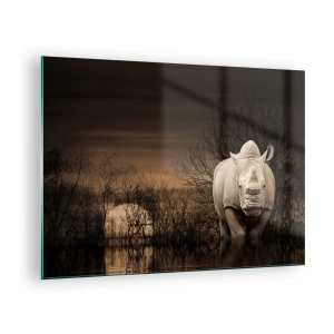 Glasbild - Bild auf glas - Nashorn vor der untergehenden Sonne - 70x50cm - Weiß gegen die Natur - Moderne Wanddekoration für Wohnzimmer und Schlafzimmer ARTTOR