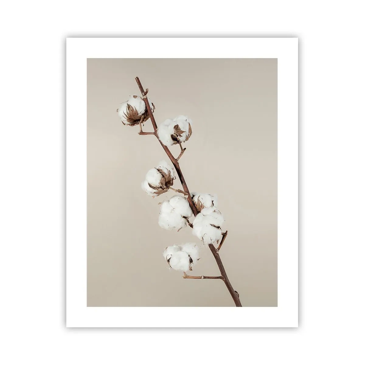 Poster - An der Quelle der Weichheit - 40x50 cm