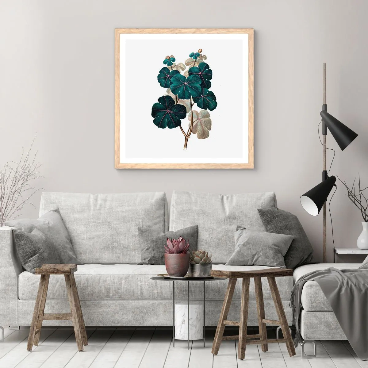 Poster in einem Rahmen aus heller Eiche - Aus dem alten Herbarium - 50x50 cm