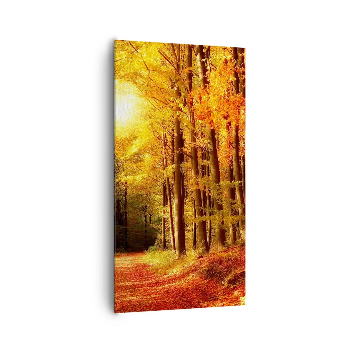 Bild auf Leinwand - Leinwandbild - Goldener Herbst auf einer Forststraße - 65x120 cm