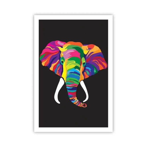 Poster - Der Elefant, der es liebte, im Regenbogen zu baden - 61x91 cm