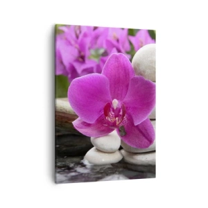 Bild auf Leinwand - Leinwandbild - Lila Orchidee, Steine und Bambus mit Wasser in einer entspannenden Umgebung - 50x70cm - Du ruhst dich schon aus - Moderne Wanddekoration für Wohnzimmer und Schlafzimmer ARTTOR