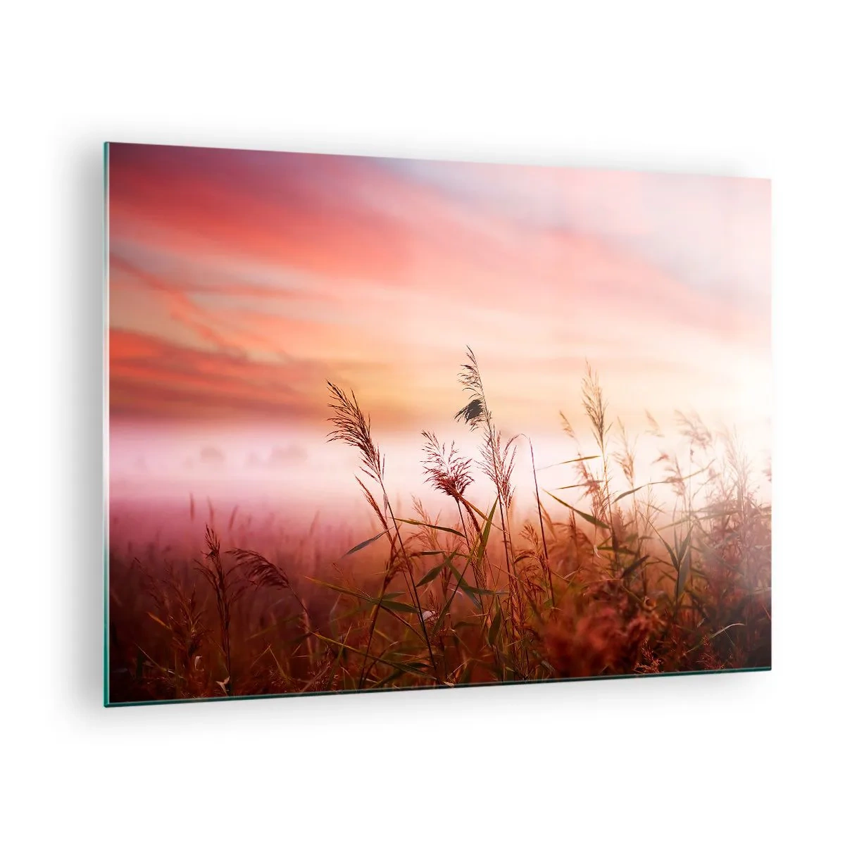 Glasbild - Bild auf glas - Eine Wiese im Morgennebel mit pastellfarbenem Himmel - 70x50cm - Drachen, Löwenzahn, Wind - Moderne Wanddekoration für Wohnzimmer und Schlafzimmer ARTTOR