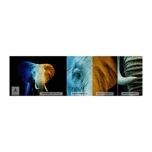 Fototapeten Muster Premium Sand - Exzentrisch, kein Verrückter - Abstraktion, Elefant, Tiere - 100x30 cm