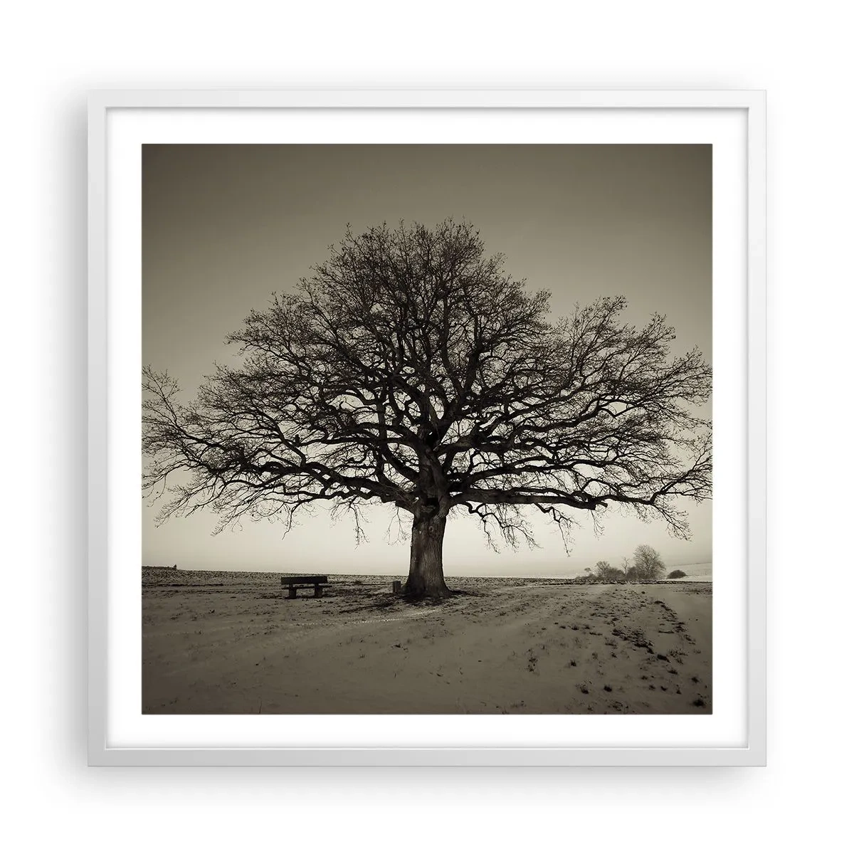 Poster in einem weißen Rahmen - Von hier zu Ewigkeit - 60x60 cm