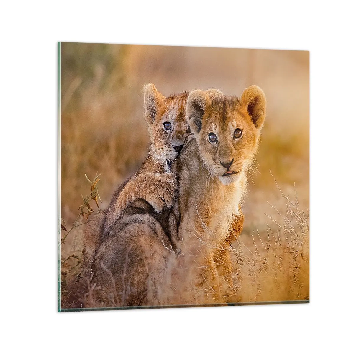 Glasbild - Bild auf glas - Bitte nicht stören! Wir haben Spaß - 40x40 cm