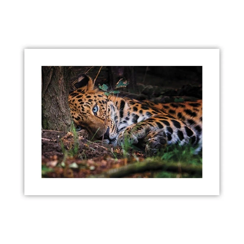 Poster - Vertrau mir - 40x30 cm