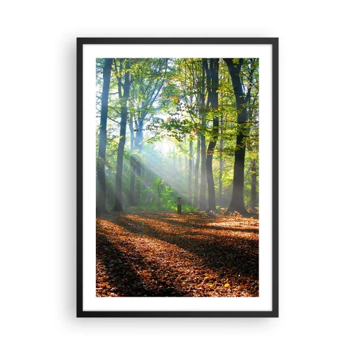 Poster in einem schwarzem Rahmen - Sonnenstrahlen im herbstlichen Wald - 50x70cm - Licht und Schatten - Moderne Wanddekoration für Wohnzimmer und Schlafzimmer ARTTOR