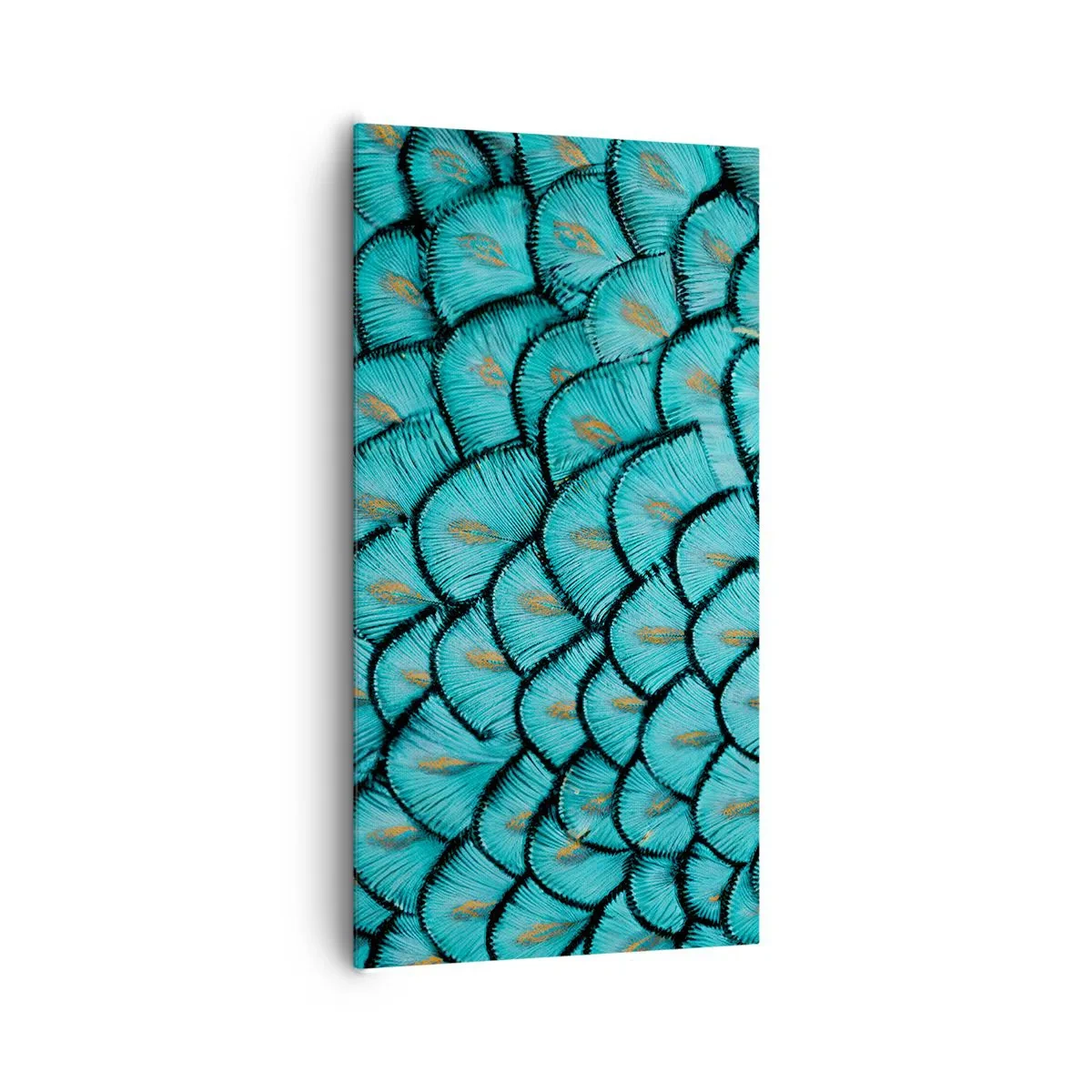 Bild auf Leinwand - Leinwandbild - Große Federgala - 65x120 cm