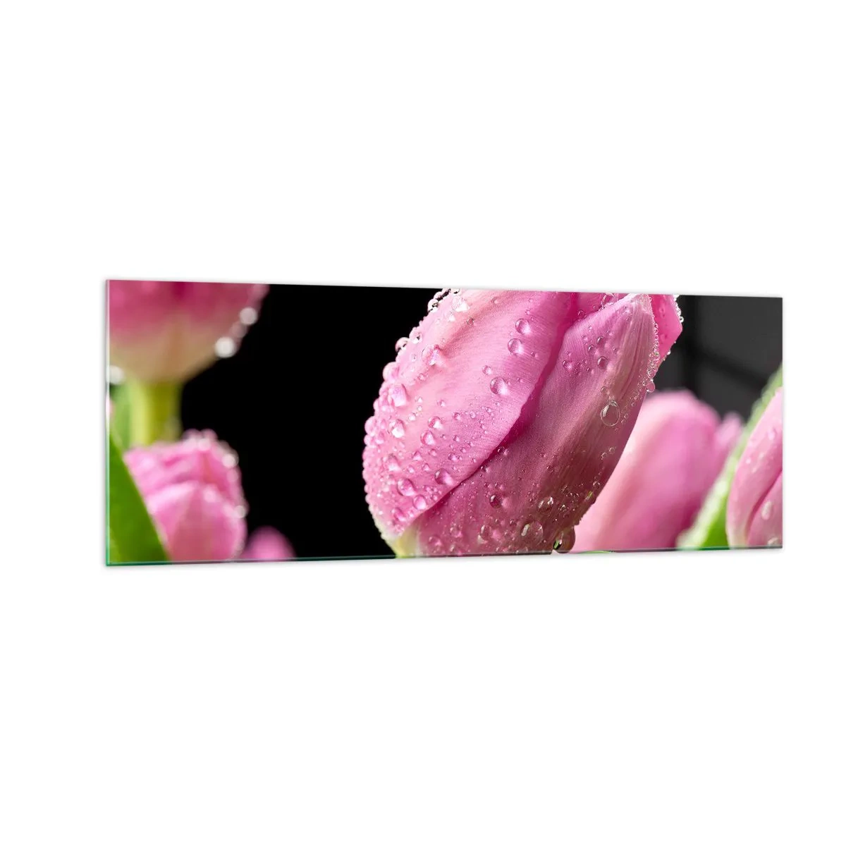 Glasbild - Bild auf glas - Rosa Tulpe mit Wassertropfen auf schwarzem Hintergrund - 140x50cm - Lila Traum im Tau - Moderne Wanddekoration für Wohnzimmer und Schlafzimmer ARTTOR