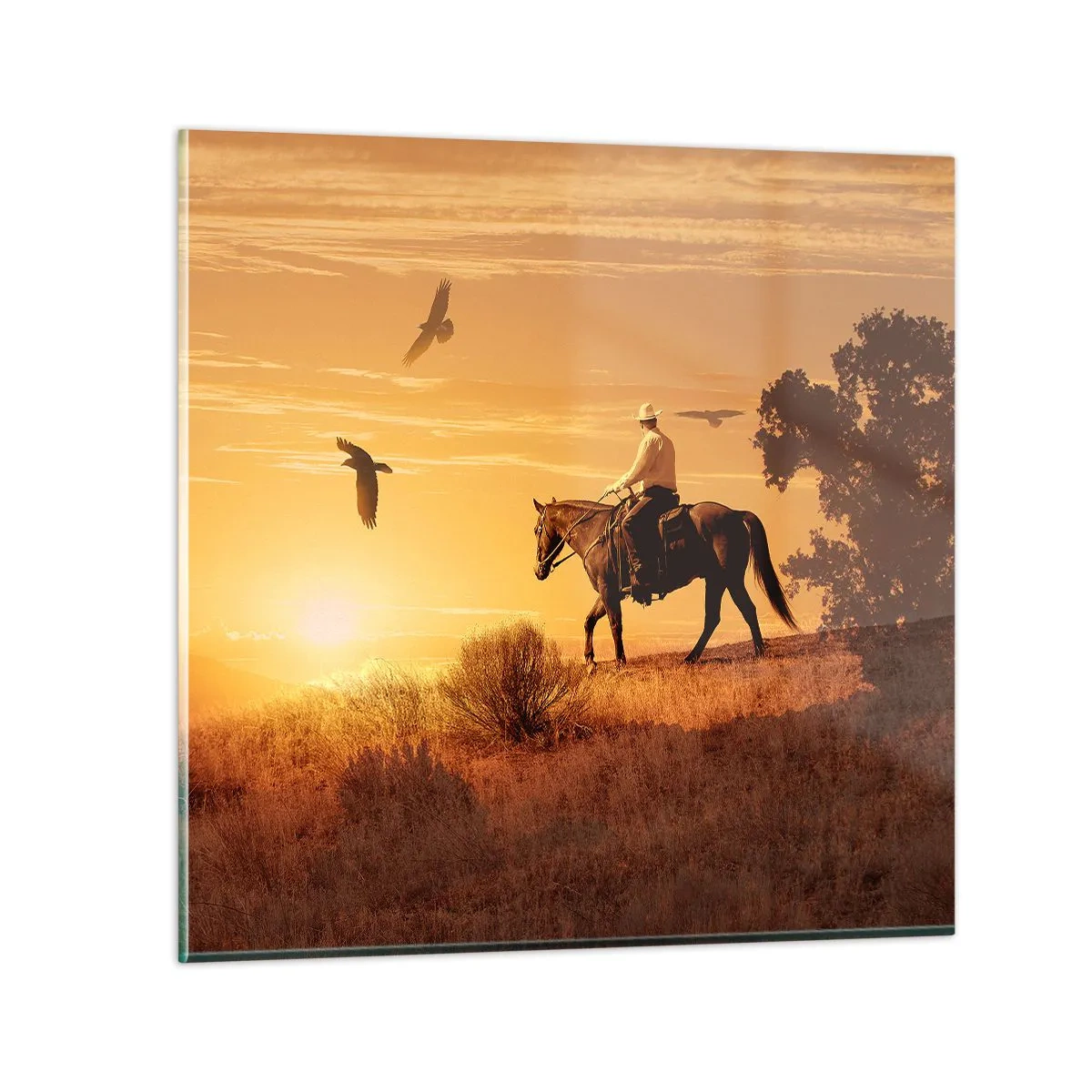 Glasbild - Bild auf glas - Allein durch die Prärie - 70x70 cm