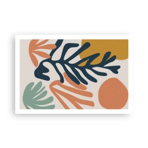Poster - Korallenmeere - 91x61 cm