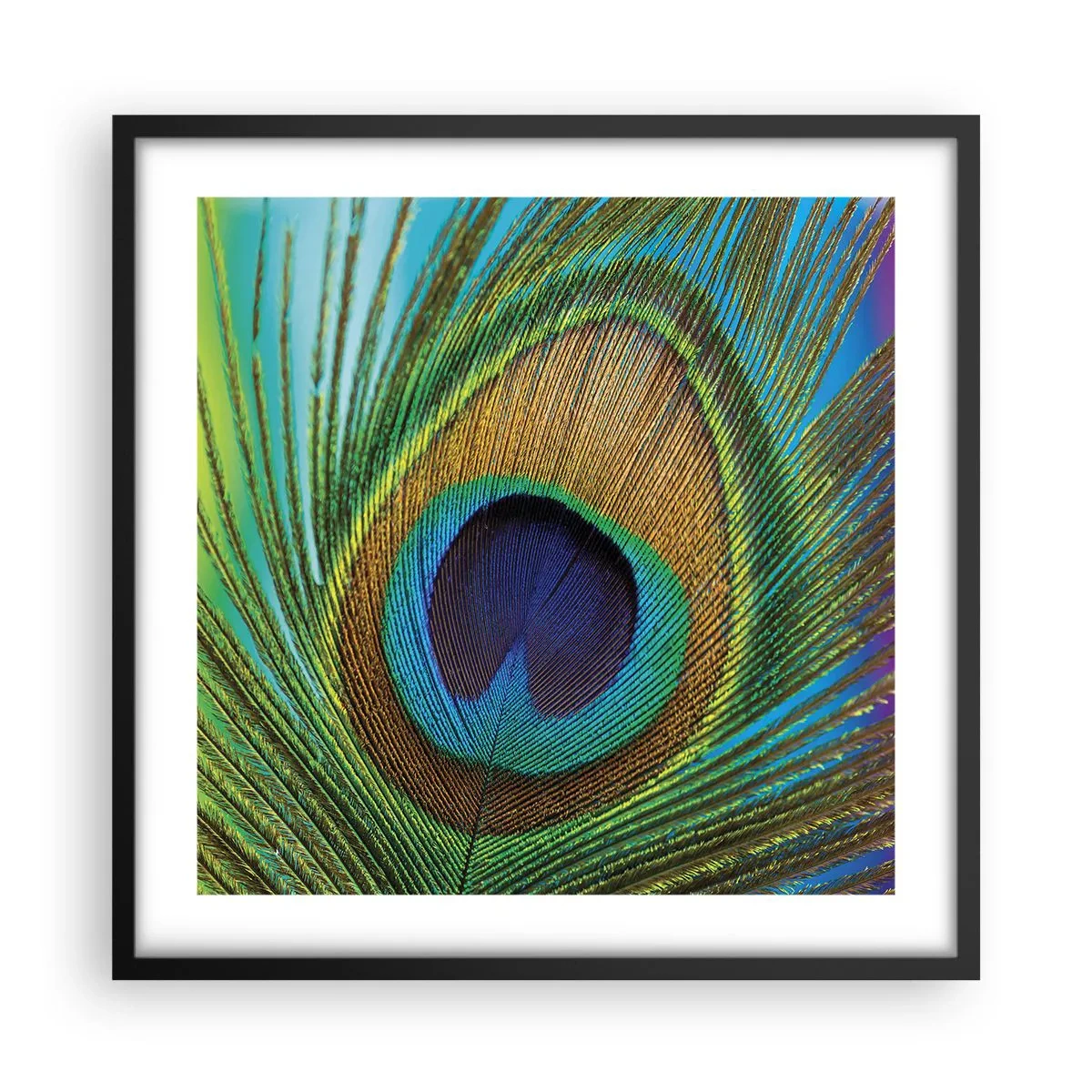 Poster in einem schwarzem Rahmen - Auge in Auge - 50x50 cm