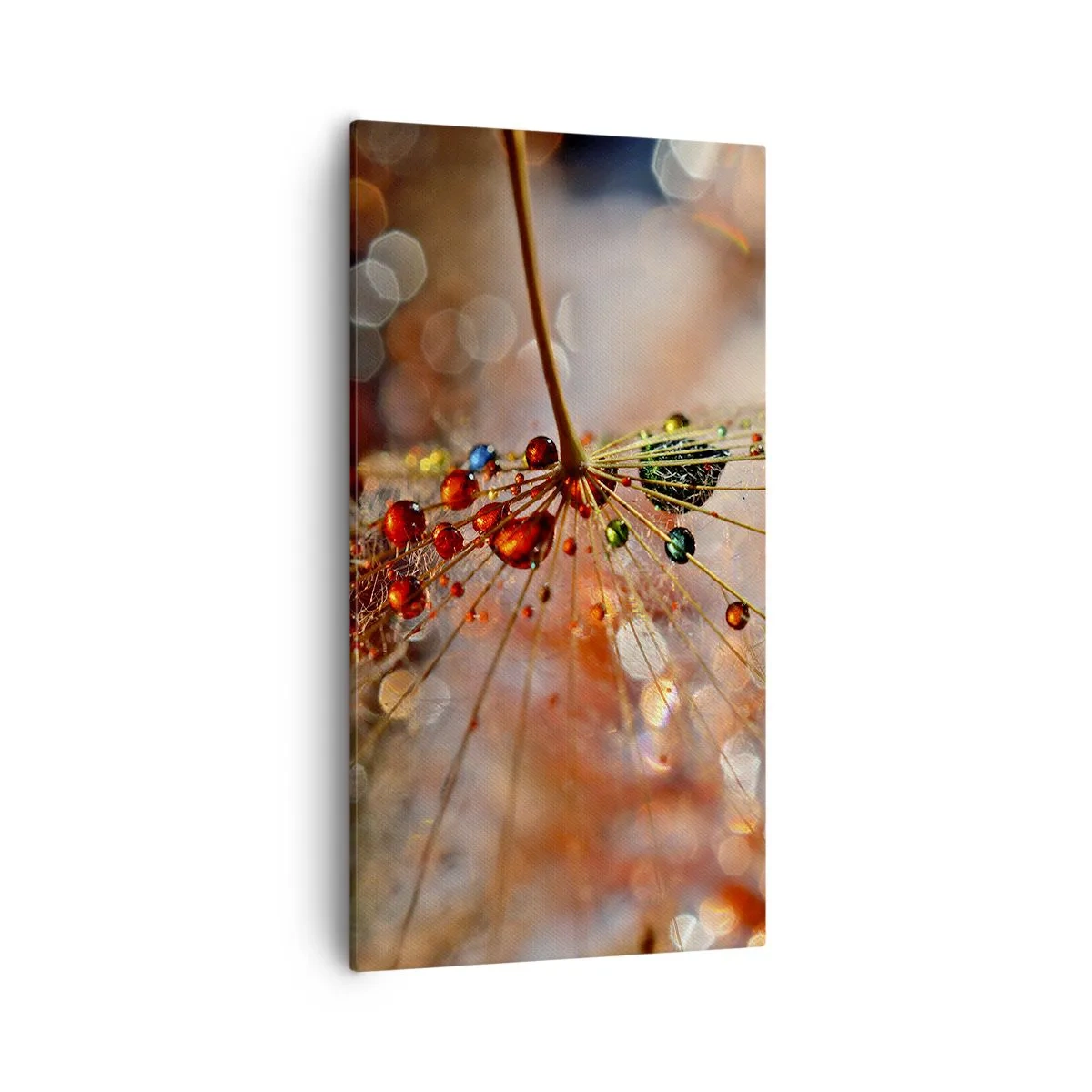 Bild auf Leinwand - Leinwandbild - Auf einem Spinnenfaden aufgefädelt - 55x100 cm