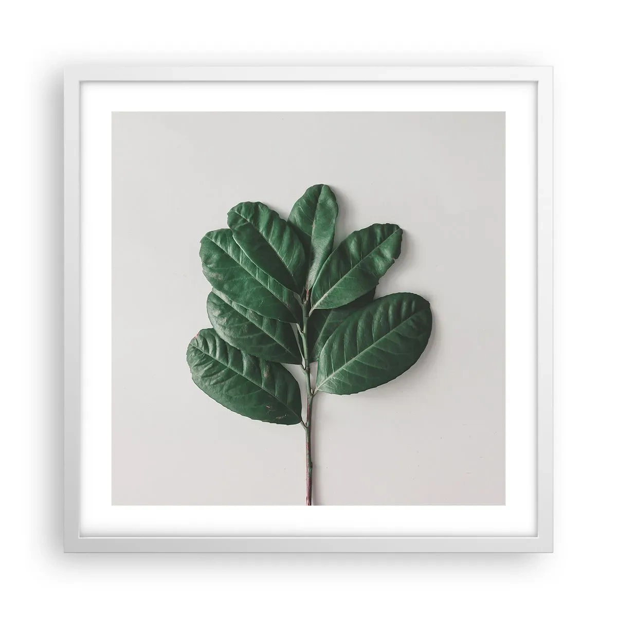 Poster in einem weißen Rahmen - Eine Zeichnung purer Natur - 50x50 cm