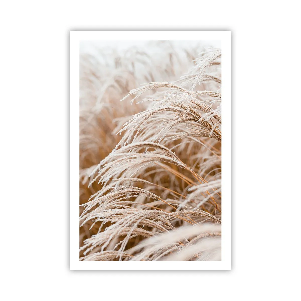 Poster - Verbeuge dich vor der Herbstsonne - 61x91 cm