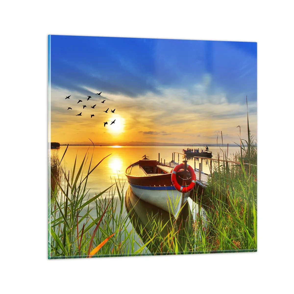 Glasbild - Bild auf glas - Die Kormorane fliegen schon weg - 60x60 cm