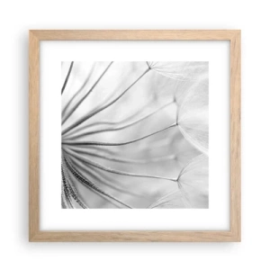 Poster in einem Rahmen aus heller Eiche - Löwenzahn, Drachen - 30x30 cm