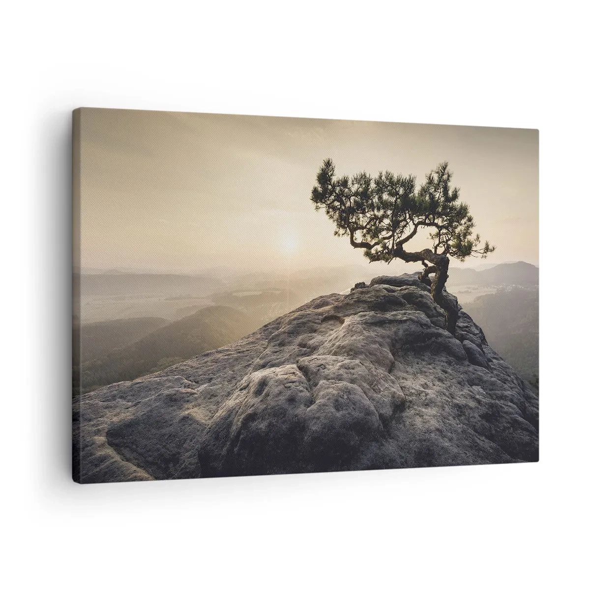 Bild auf Leinwand - Leinwandbild - Ein einsamer Baum auf einem felsigen Gipfel im Sonnenlicht - 70x50cm - Das Leben gewinnt immer - Moderne Wanddekoration für Wohnzimmer und Schlafzimmer ARTTOR