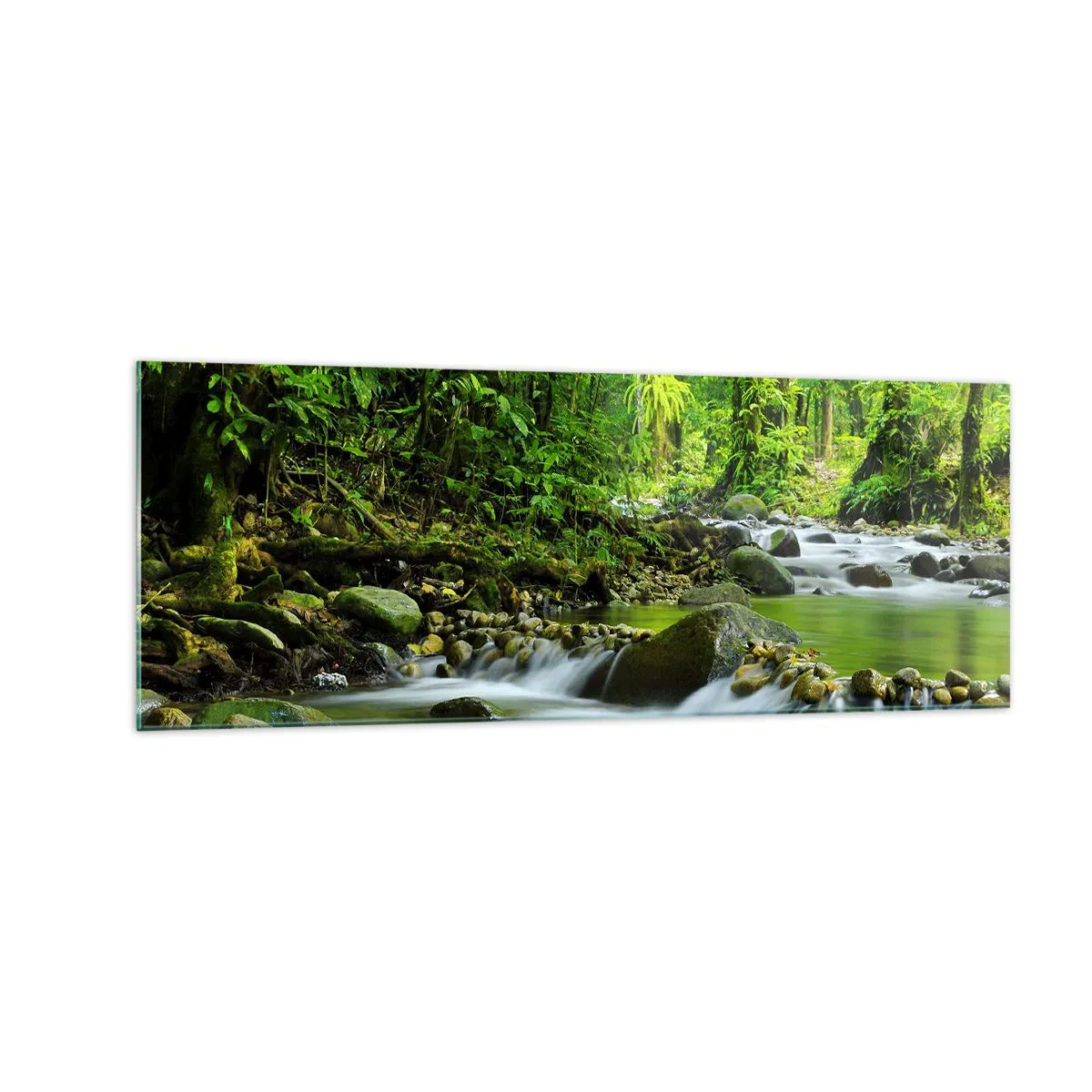 Glasbild - Bild auf glas - Ein Bach in einem üppigen tropischen Wald - 140x50cm - Schwimmen Sie in einem Meer aus Grün - Moderne Wanddekoration für Wohnzimmer und Schlafzimmer ARTTOR