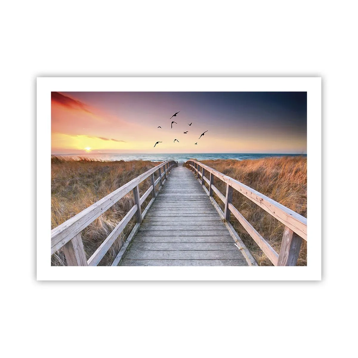 Poster - Der Raum für Auffliegen - 70x50 cm