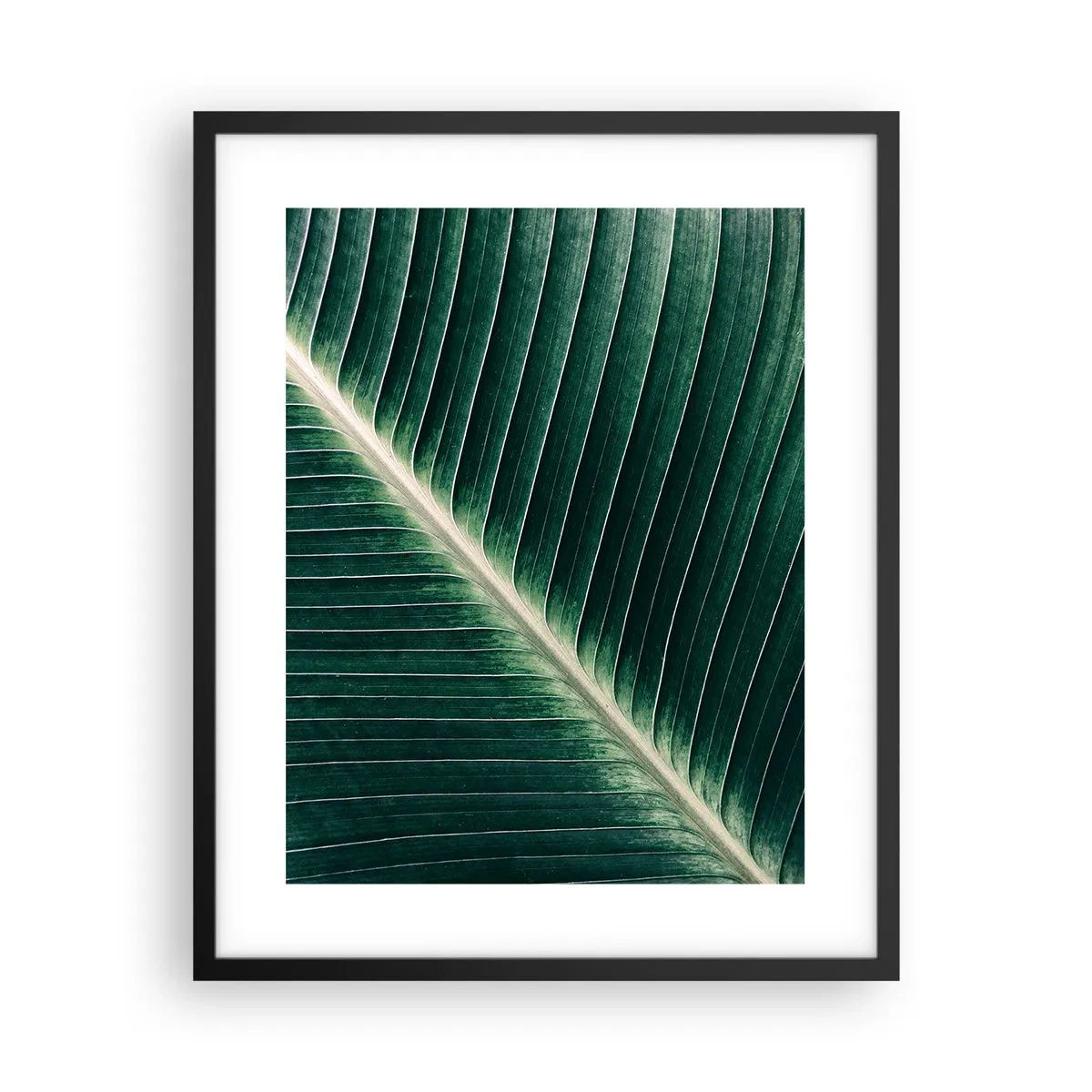 Poster in einem schwarzem Rahmen - Rhythmus der Natur - 40x50 cm