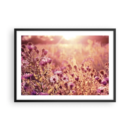 Poster in einem schwarzem Rahmen - Wiese im Licht der untergehenden Sonne - 70x50cm - Bevor der Sommer vorbei ist - Moderne Wanddekoration für Wohnzimmer und Schlafzimmer ARTTOR