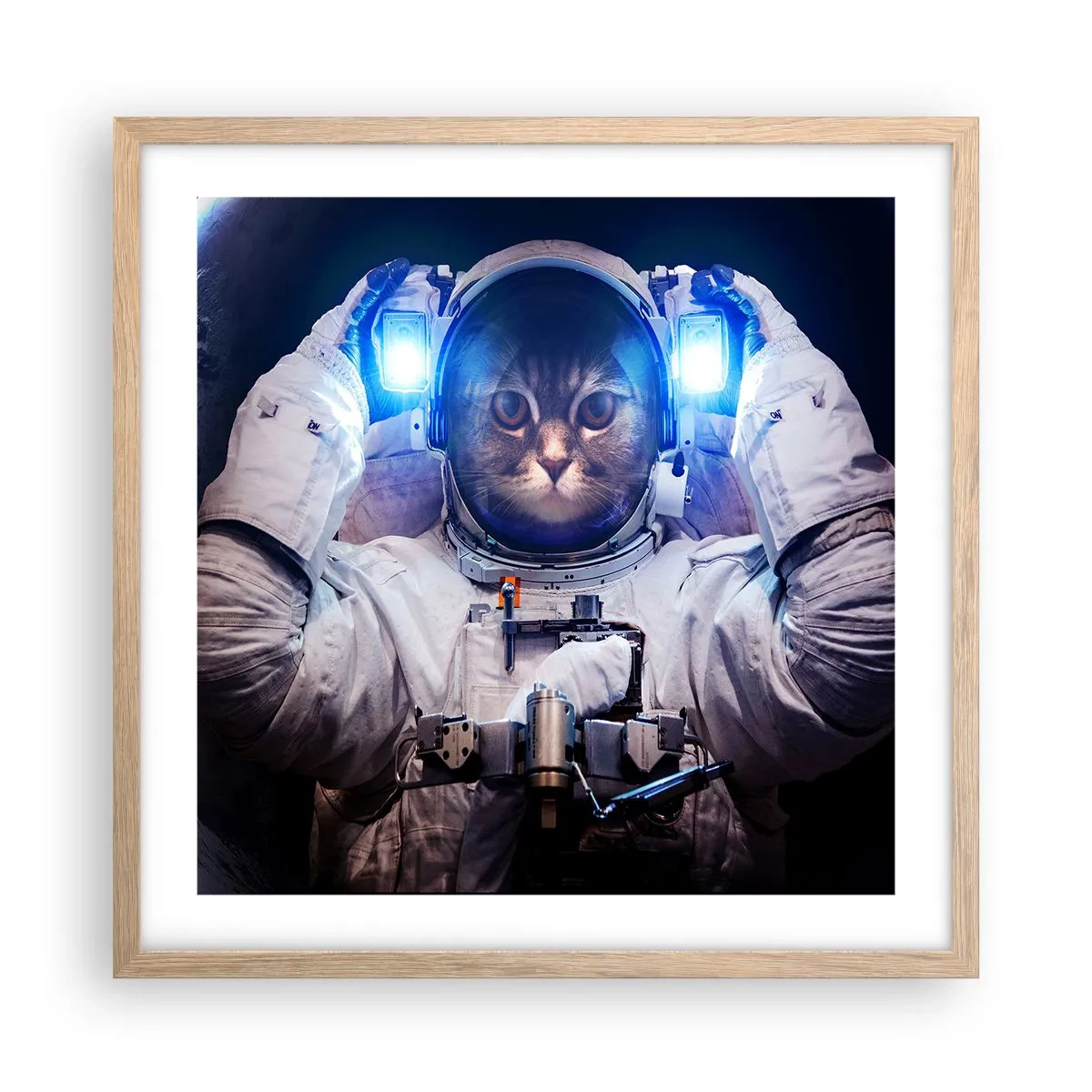 Poster in einem Rahmen aus heller Eiche - Houston, du hast ein Problem - 50x50 cm