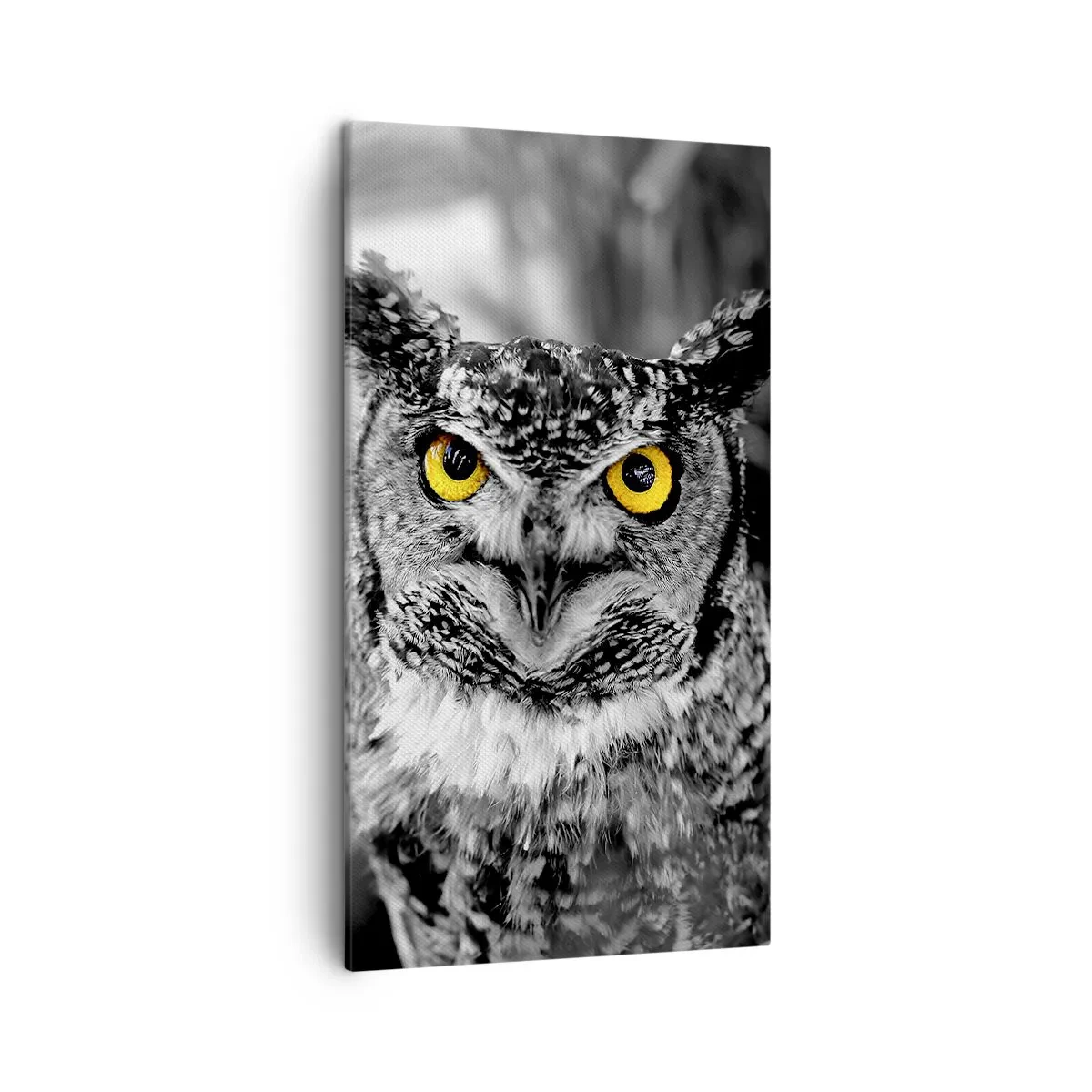 Bild auf Leinwand - Leinwandbild - Nichts wird sich verstecken - 45x80 cm