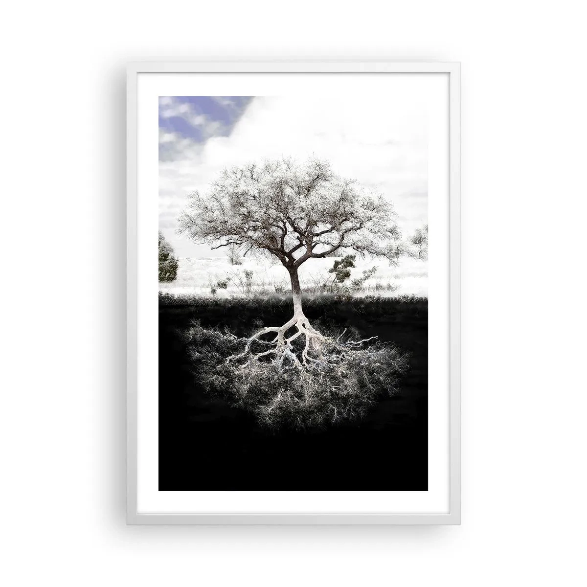 Poster in einem weißen Rahmen - Die Natur der Welt entdecken - 50x70 cm