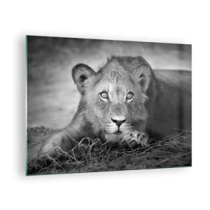 Glasbild - Bild auf glas - Ein Löwenjunges in Schwarz und Weiß starrt in die Kamera - 70x50cm - Königlicher Welpe - Moderne Wanddekoration für Wohnzimmer und Schlafzimmer ARTTOR
