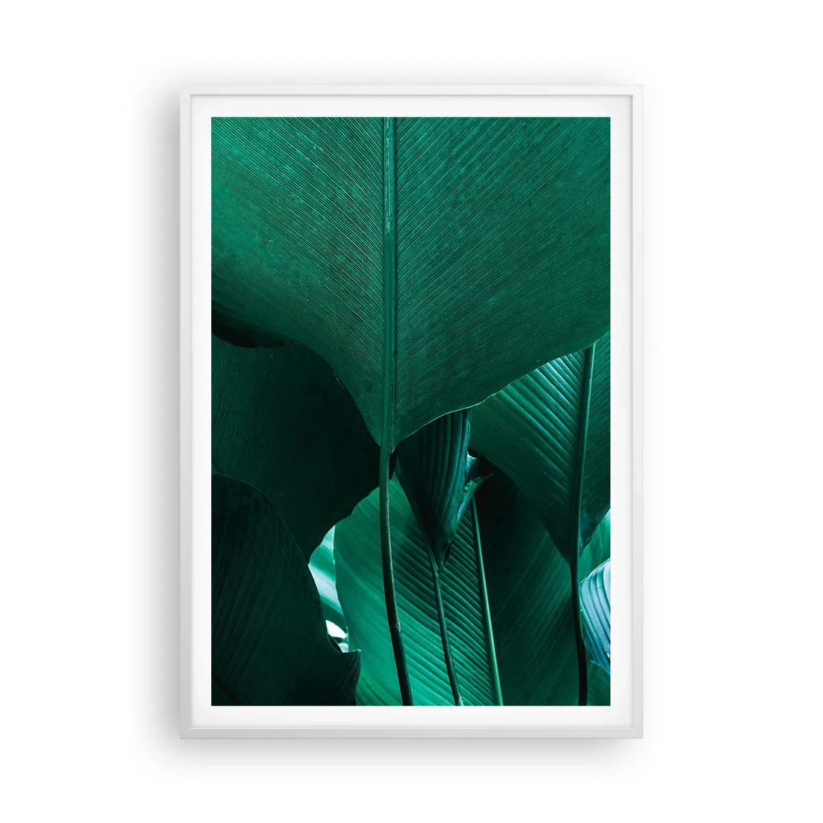 Poster in einem weißen Rahmen - Dem Licht zugewandt - 70x100 cm