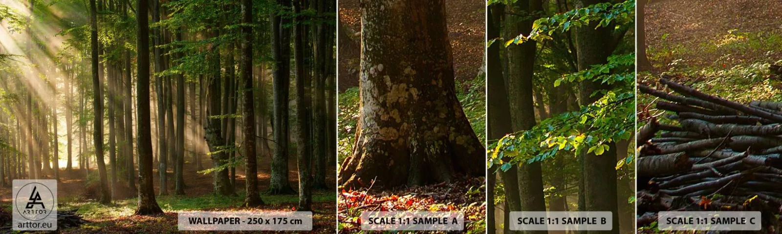 Fototapetenmuster Standard Eco - Strahlend an einem Frühlingsmorgen - Landschaft, Wald, Park - 100x30 cm