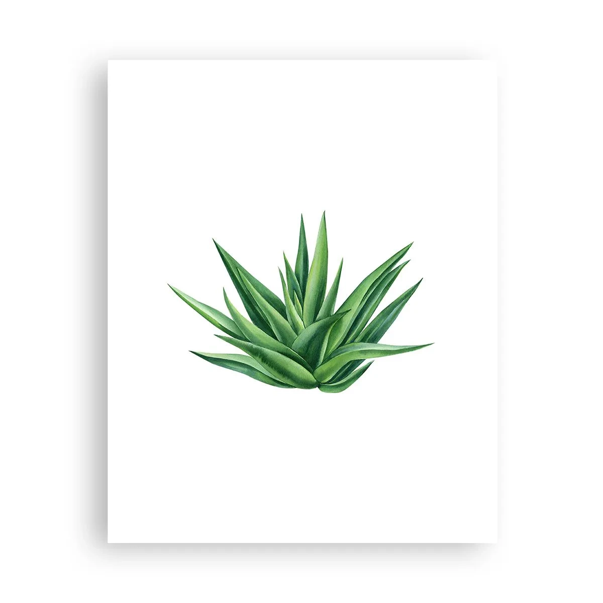 Poster - Grün – Kraft – Leben - 40x50 cm