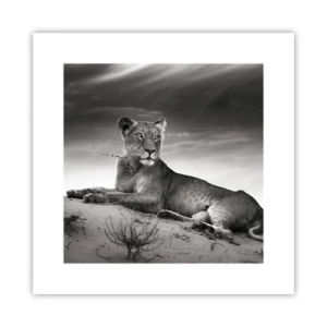 Poster - Die Königin der Wüstenruhe - 30x30 cm