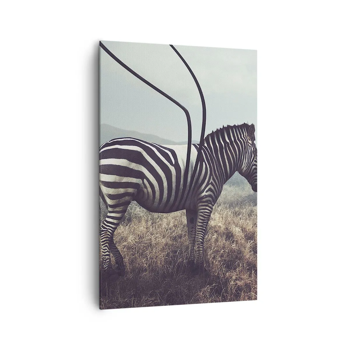 Bild auf Leinwand - Leinwandbild - Ein surreales Zebra vor einer grasbewachsenen Landschaft - 80x120cm - Achtung! Fehler - Moderne Wanddekoration für Wohnzimmer und Schlafzimmer ARTTOR